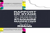 Adrien LANDREAU - Healthy Nibbles - Mémoire de stage