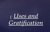 About uses and gratification model