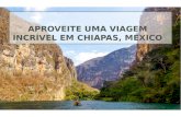 Aproveite uma viagem incrível em Chiapas, México
