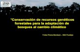  "Conservación de recursos genéticos forestales para la adaptación de bosques al cambio climático