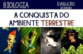 Evolução dos vertebrados - Conquista do ambiente terrestre - Biologia
