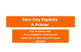 zero day exploits