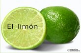 El   limón