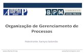 Cap 8 – Organização de Gerenciamento de Processos – Samyra Salomão, CBPP