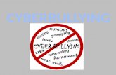672 Cyberbulling