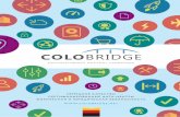 Colobridge - Корпоративный хостинг-провайдер