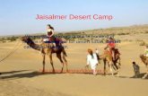 Jaisalmer Desert Camp