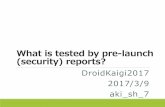 What is tested by pre-launch (security) reports?