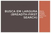 Busca em largura (breadth first search)