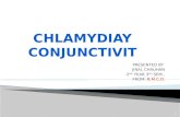 Chlamydiay conjunctivits by jinal chauhan