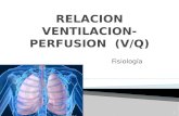 Fisiologia Relacion ventilacion/perfusion