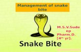 Snake- sudeep