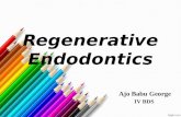 Regenerative endodontic