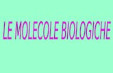 Le molecole biologiche - didattica differenziata