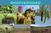 A21 e biodiversidad