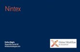 TC Automatizacion de Procesos en SharePoint con NINTEX
