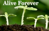 Alive forevermore