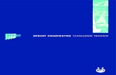 ICR Composites - Edizione italiana