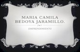Maria camila bedoya jaramillo