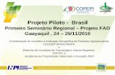 "Projeto Piloto - Brasil Primeiro Seminário Regional – Projeto FAO Guayaquil , 24 – 26/11/2010"