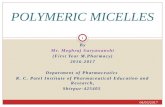 Seminar polymeric micelles
