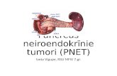 Pancreas neiroendokrīnie tumori