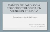 Manejo de patología coloproctológica en atención primaria (por Cristina duart)