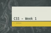 CSS - Week 1
