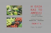 2017 ,Η ελιά και το αμπέλι, Νικολίτσα Τσουκαλά