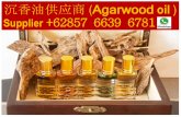 Indonesian oud oil , SUPPLIERS +62 857-6639-6781 (WhatsApp), Best oud oil in the world
