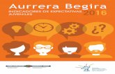 Aurrera Begira. Indicadores de expectativas juveniles 2016