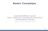 Redes Complejas Uc3m 2008