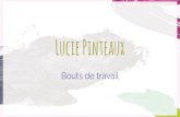 Lucie Pinteaux - Travaux