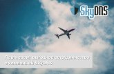 Партнерские программы SkyDNS