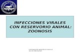 Infecciones virales zoonosis