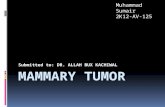 Mammary Tumor