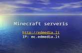 Minecraft serveris