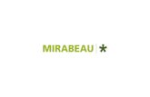 关于Mirabeau |  全方位数字服务公司－Mirabeau