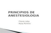 02 principios anestesio flavia y rosa