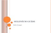 Selenium Guide