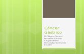 CANCER GASTRICO EN ECUADOR ACTUALIZACION 2013