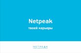 Карьера в Netpeak