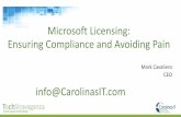 Microsoft Licensing Audits