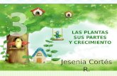 Mapa conceptual gerencia de proyectos Jessenia Cortés
