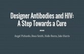 Designer Antibodies