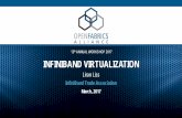InfiniBand Virtualization