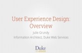 User Experience Design: an Overview