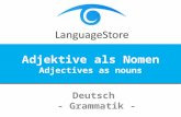 LanguageStore - Adjektive als Nomen