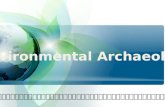 2(1) environmental archaeology