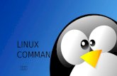 Linux command for beginners